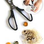 Tijeras para huevos de codorniz