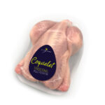 Picantón Tradicional