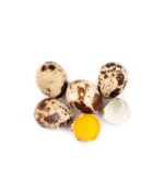 Doble Docena Huevos de Codorniz Frescos - Imagen 2