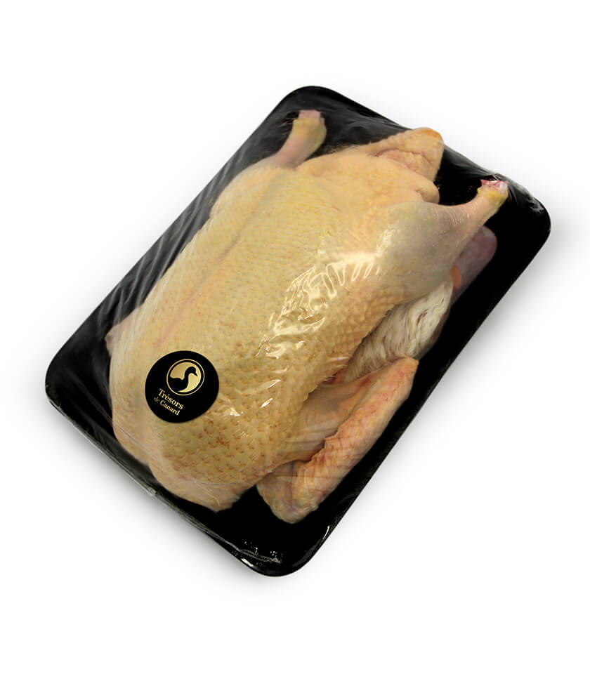 urgasashop-pato-entero-fresco-BDF-1 Pato entero fresco BDF - Imagen 1