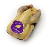 Pintada francesa fresca